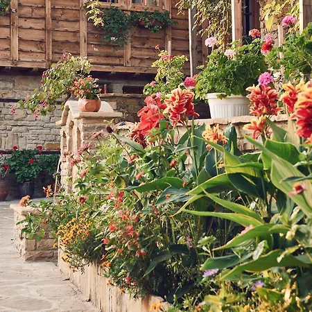 Πανσιόν Yovina House 2*
